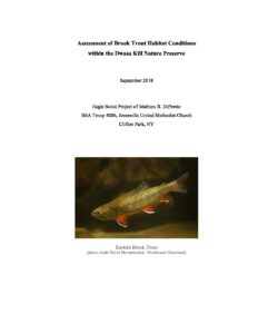  Fish & Stream Habitat Study 2018 by Mathieu R. DiPersio